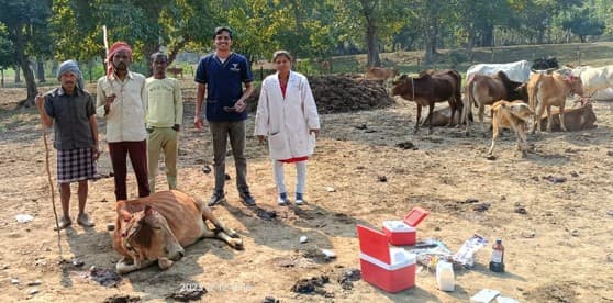 1962 Chhattisgarh Mobile Veterinary Services - Image 2