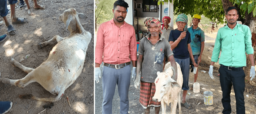 1962 Chhattisgarh Mobile Veterinary Services - Image 3